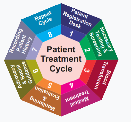Patient Treatment Cycle