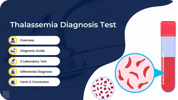 Thalesemia Test